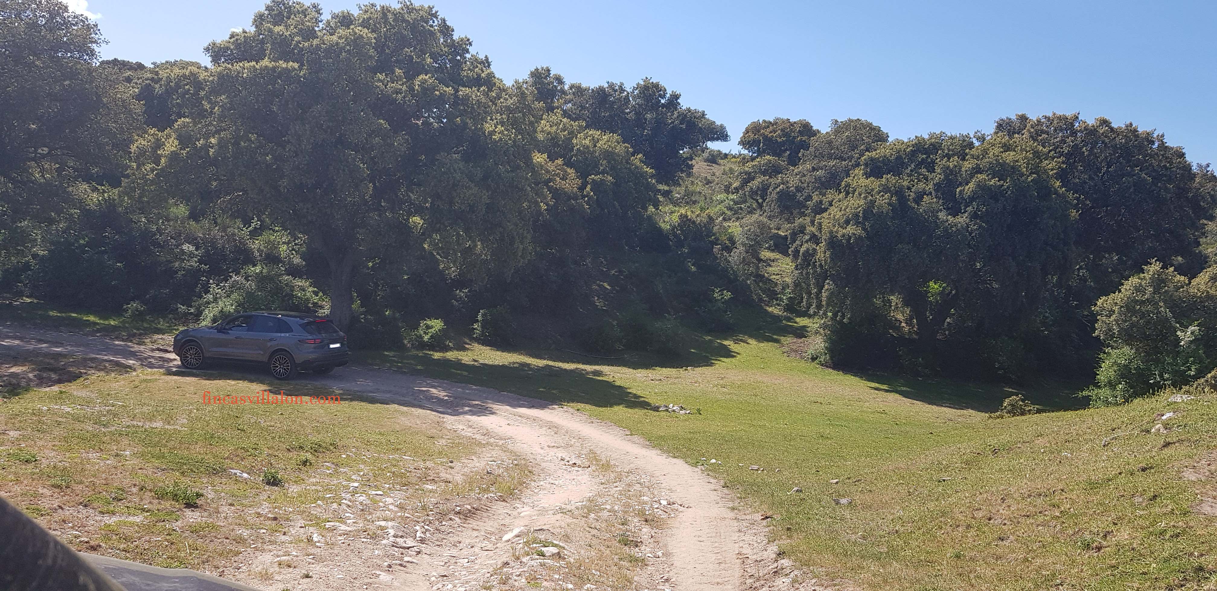 Finca con gran encinar en Castilla y León